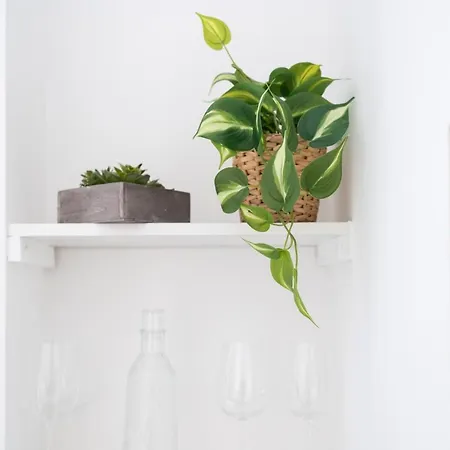 White Gioberti روما